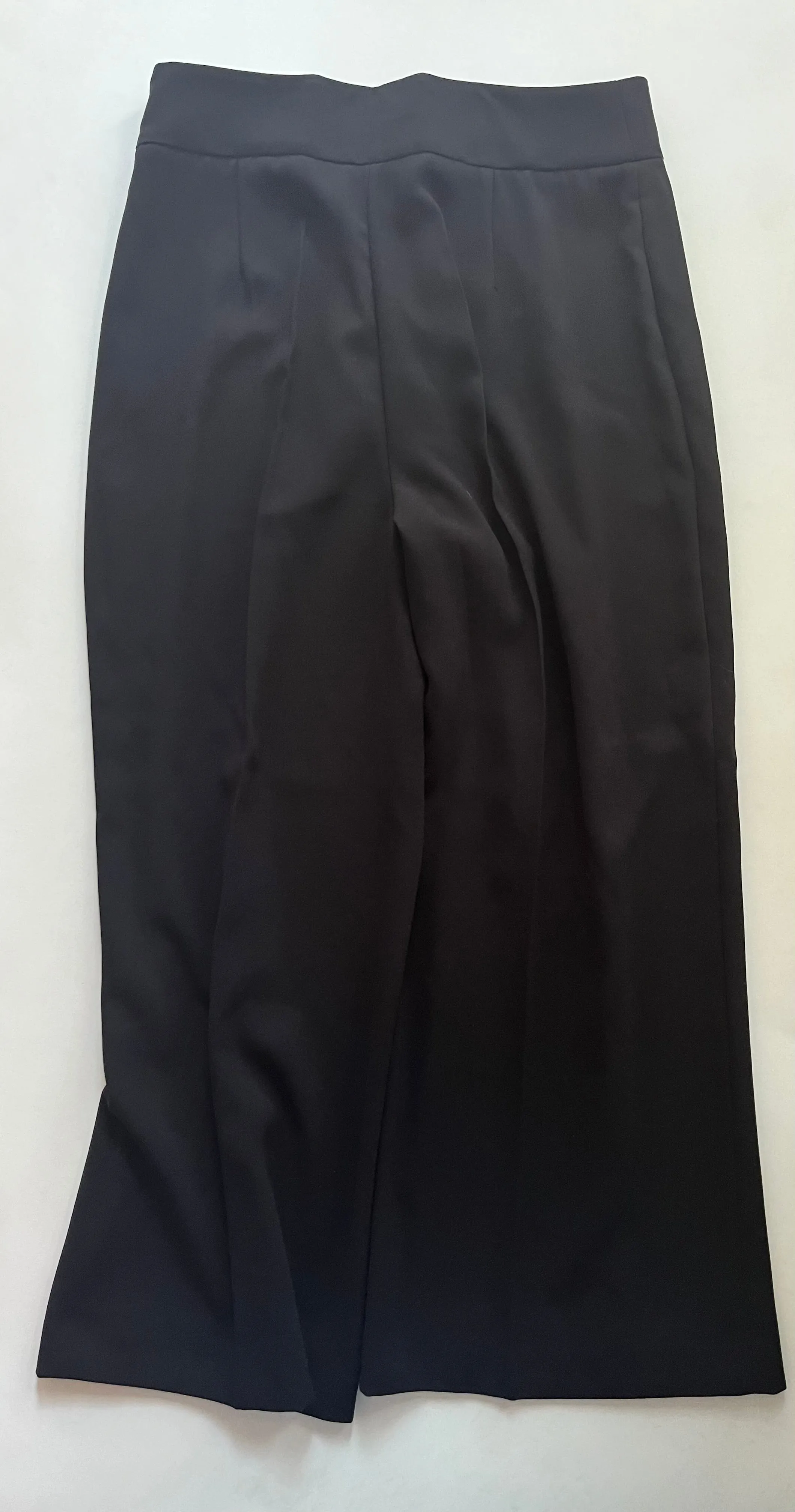 Black Pants Ankle Zara, Size L